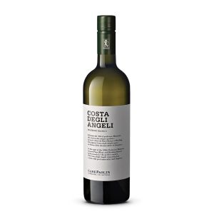 Manzoni Bianco IGT Veneto Biologico “Costa degli Angeli” – Case Paolin